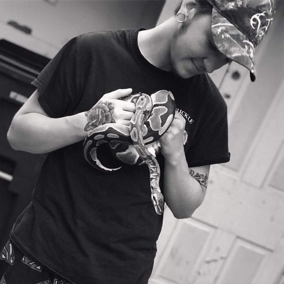 Meet your Posher, Benson - Picture 1 of 1